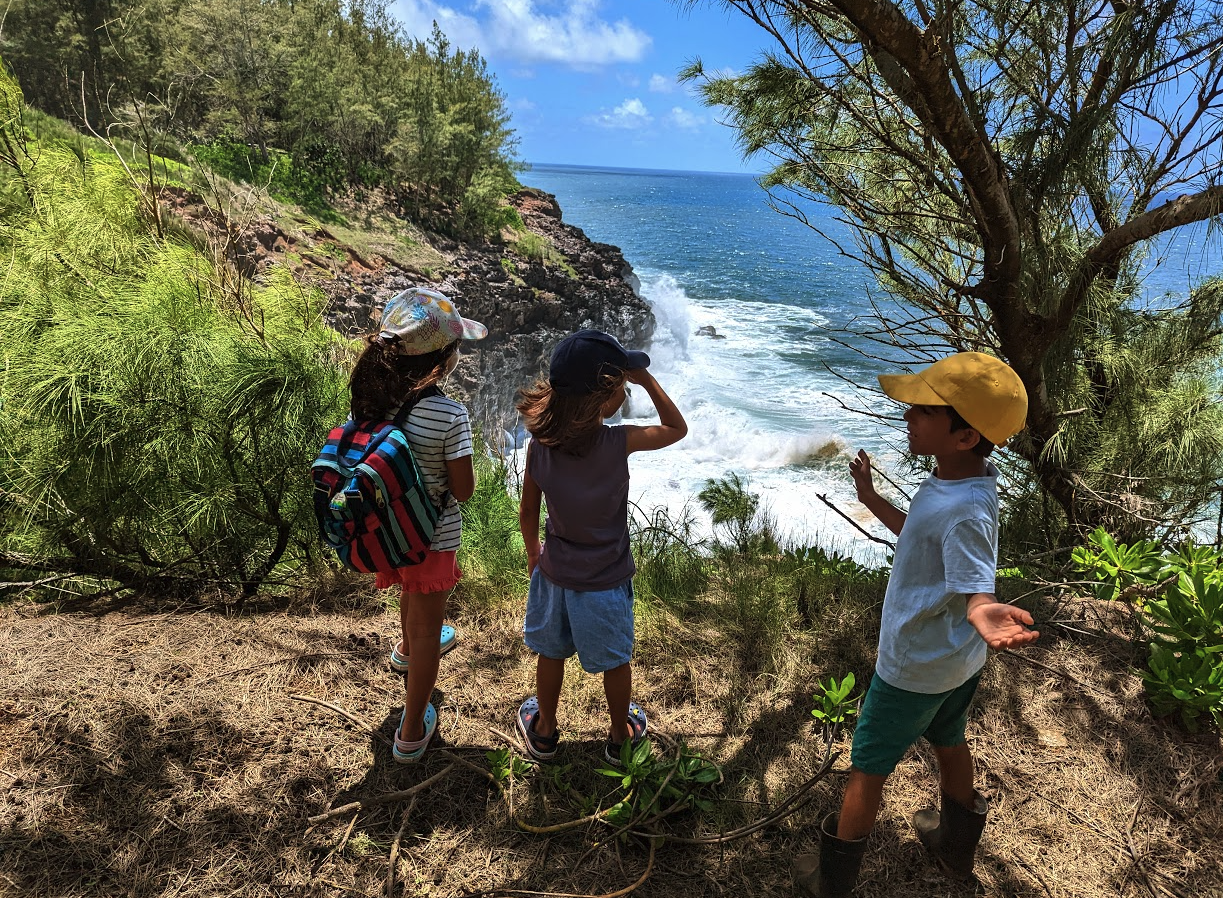 Enfants Nature Wild South Kids Adventure - Photo 1