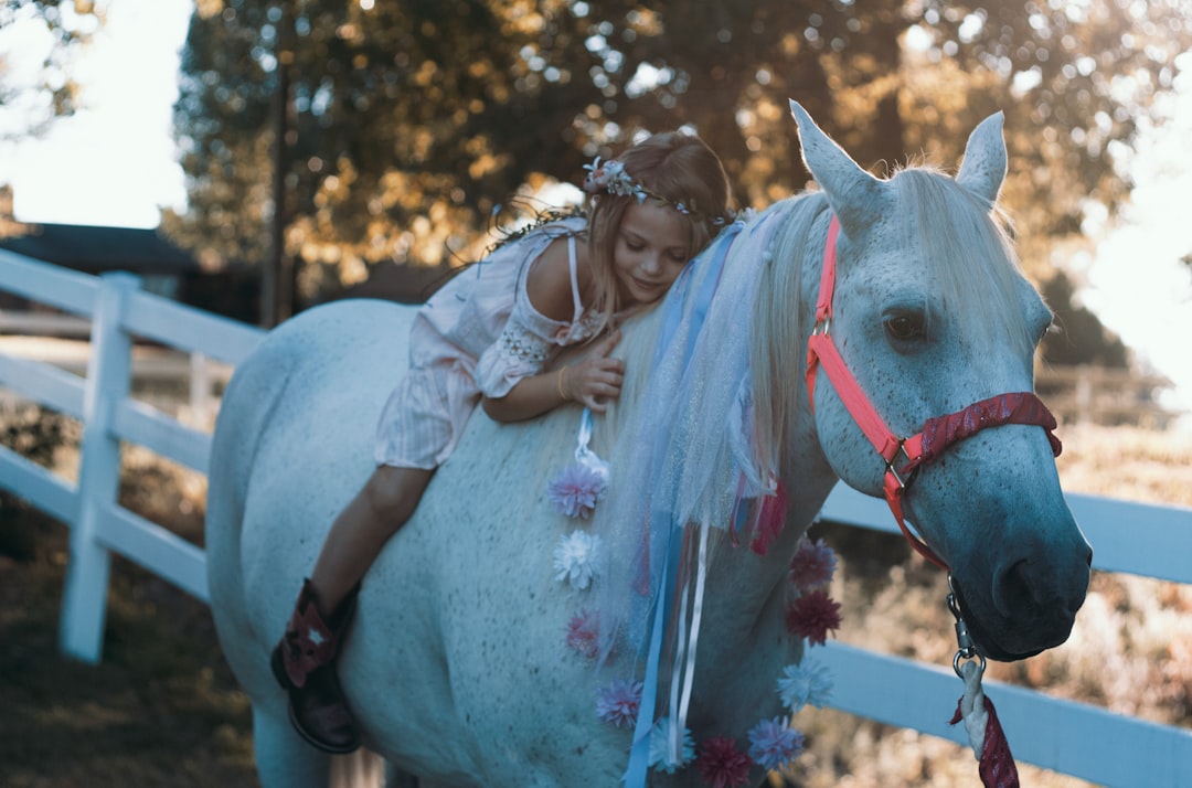 Les Écuries de Mon Rocher Horse-Riding Holiday Stages – July/August 2026 - Photo 1