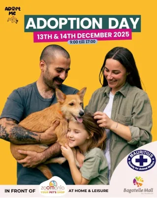 Adopt a Pet Day