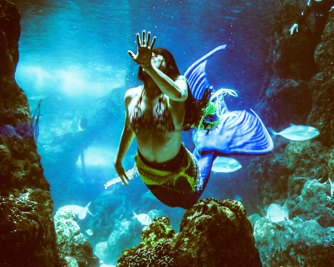 Odysseo Oceanarium Mermaid Show - Photo 2