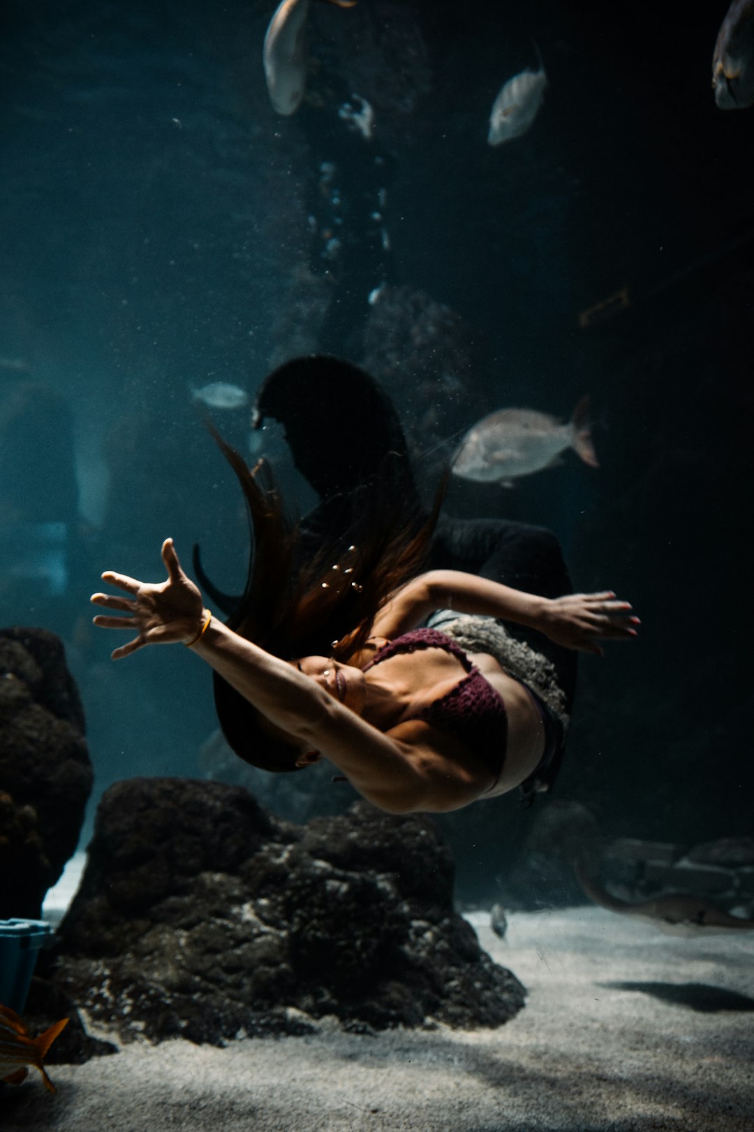 Odysseo Oceanarium Mermaid Show - Photo 1
