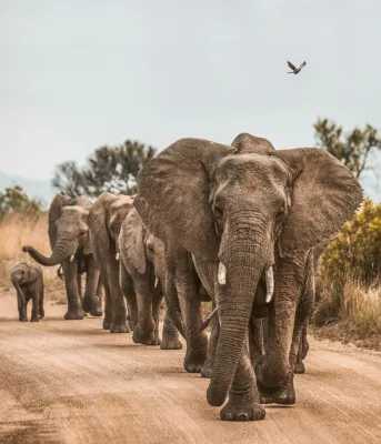 Outside the Box Adventures - South Africa