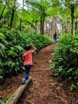 Sophie's Nature Walk