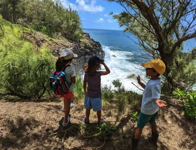 South Coast hike - Gris-Gris to Andrea Lodge 