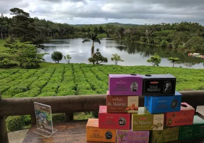 Bois Cheri Tea Estate