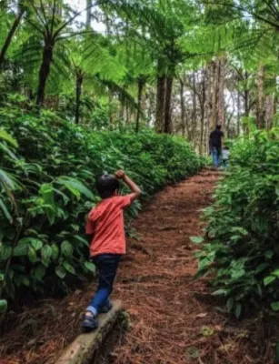 Family hike at Sophie Nature Walk