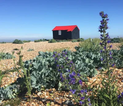Outdoors Playdate at Rye Harbour Nature Reserve, United Kingdom