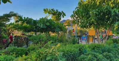 Outdoors Playdate at Ebène Recreational Park, Mauritius